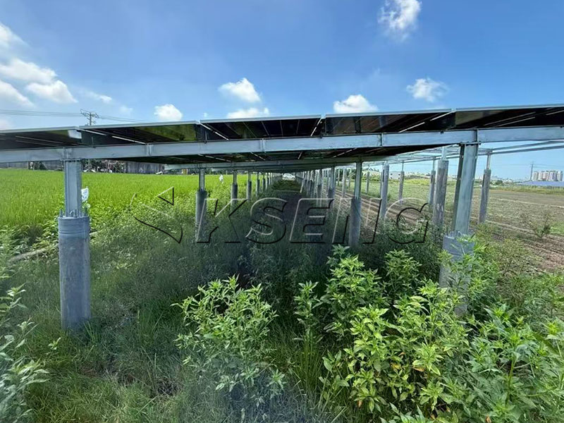 【2025年11月】台湾彰化-碳钢农棚支架案例