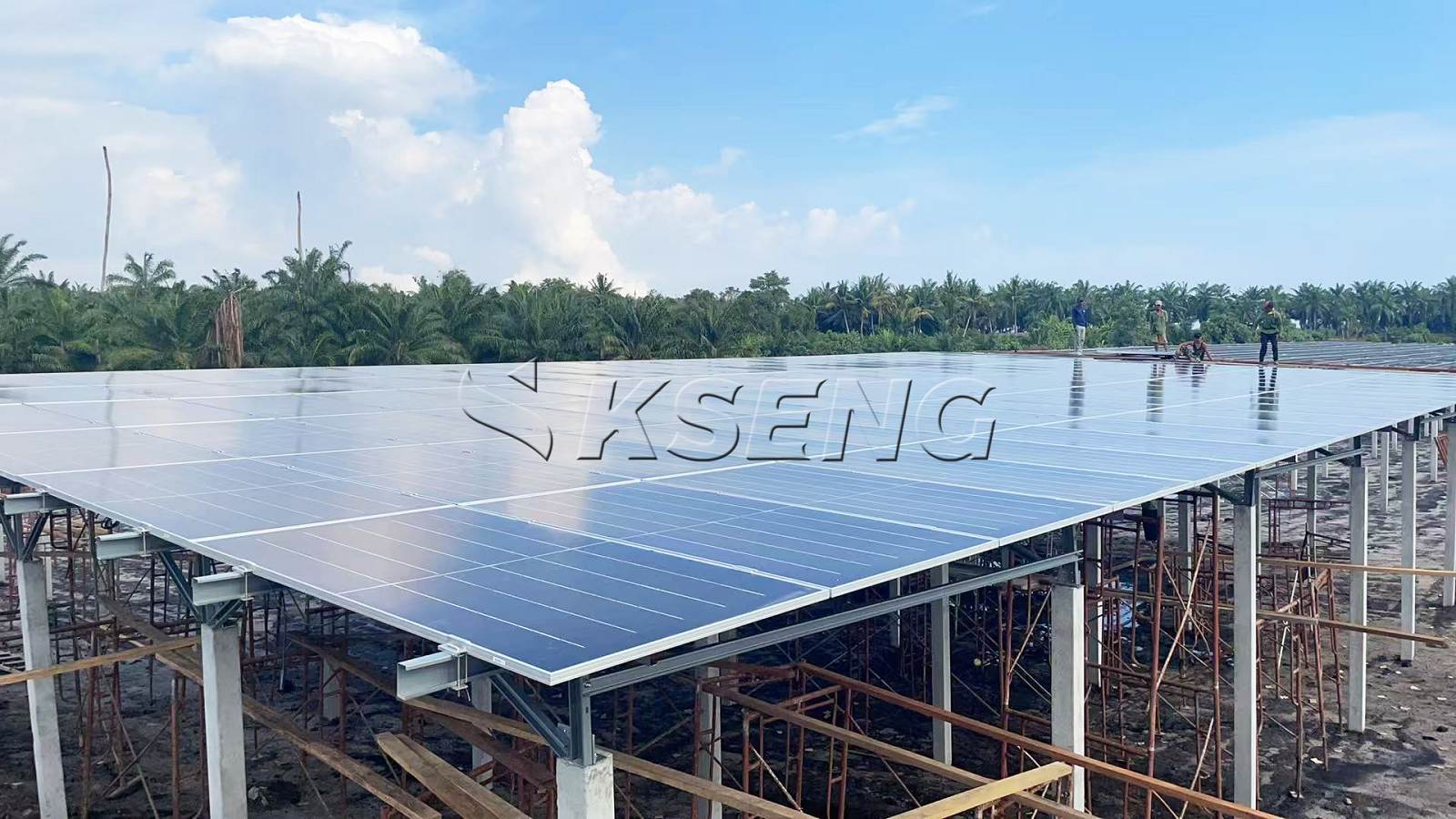 【26年3月】马来西亚渔业光伏支架1MW案例